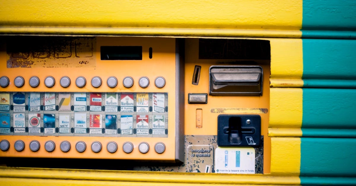 Комплексный анализ слот-игры Great Rhino с техническими характеристиками